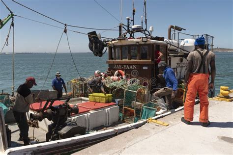 Imbarcazione da pesca che scarica pesce