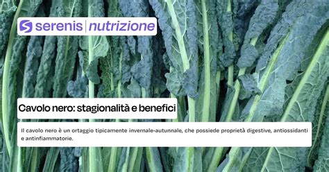 Infografica sui benefici nutrizionali del cavolo nero