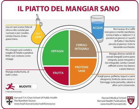 Infografica sul piatto sano