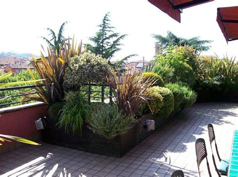 Terrazzo fiorito con piante di fagiolo in vaso