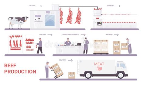 Processo di produzione della carne separata meccanicamente