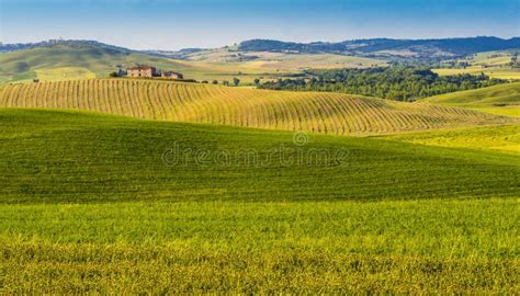 Paesaggio montano con campi coltivati