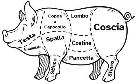 Tagli di carne di maiale