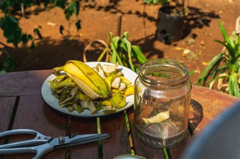 Barattolo di vetro con bucce di banana e acqua per macerazione