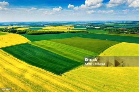 Logo Invitalia con sfondo di campi agricoli