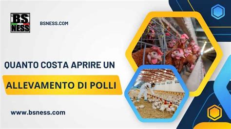 Schema riassuntivo delle spese ammissibili per un allevamento di polli