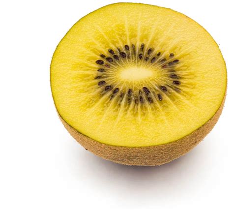 Confronto visivo tra kiwi a polpa verde (Hayward) e kiwi a polpa gialla (es. MFR001)