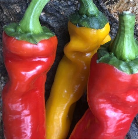 Peperoni Cornetto verdi e rossi