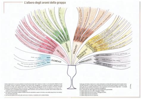 Albero degli abbinamenti gustativi