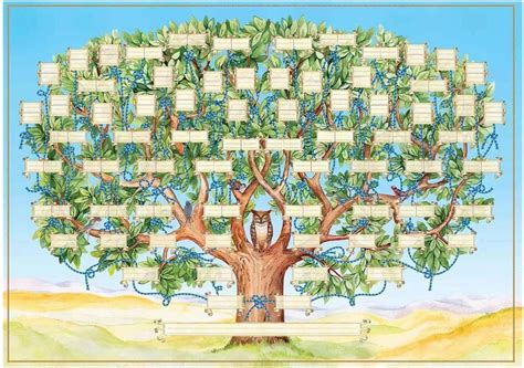 Albero genealogico delle Brassicacee