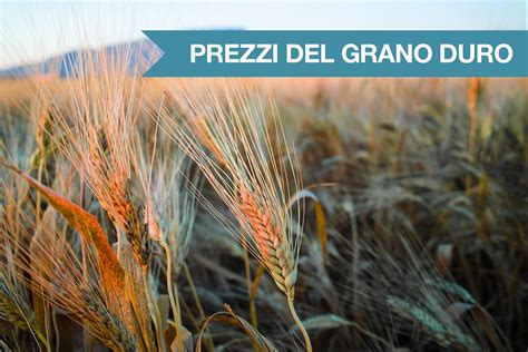 infografica sui benefici del grano duro