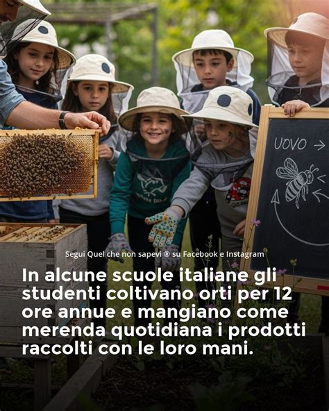 Mani che raccolgono pistacchi da un albero
