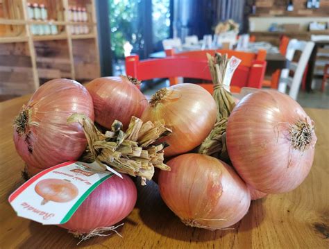 cipolle ramate di Montoro