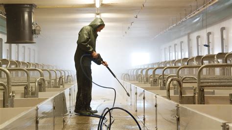 Schematic representation of germ reduction in pig pens after different cleaning stages