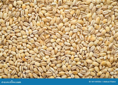 Chicchi d'orzo in ammollo con bolle d'aria