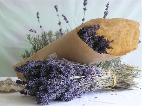 Fiori di sambuco, rosa e lavanda secchi